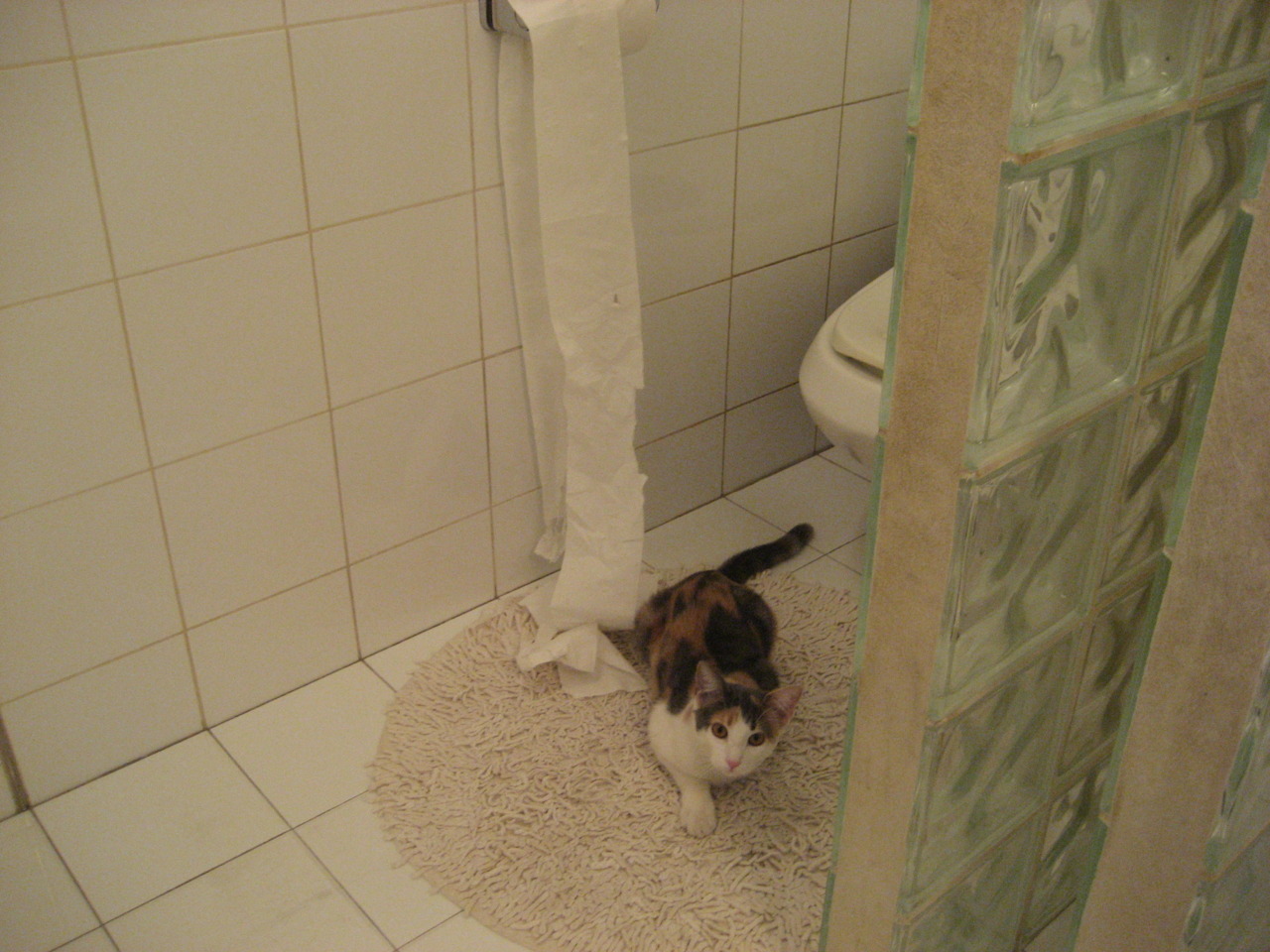 世界杯点球大战:紧张刺激,终极决战,世界杯点球大赛