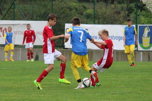 Kaiyun(中国)开云-中国篮球推动教练执业年审制度保障执教质量,篮球教练员证有效期几年