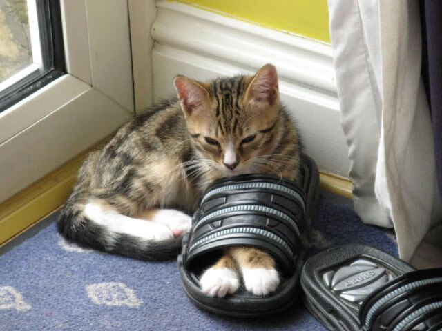 英雄联盟策略博弈成焦点战术准备比拼激烈,英雄联盟游戏技巧战略